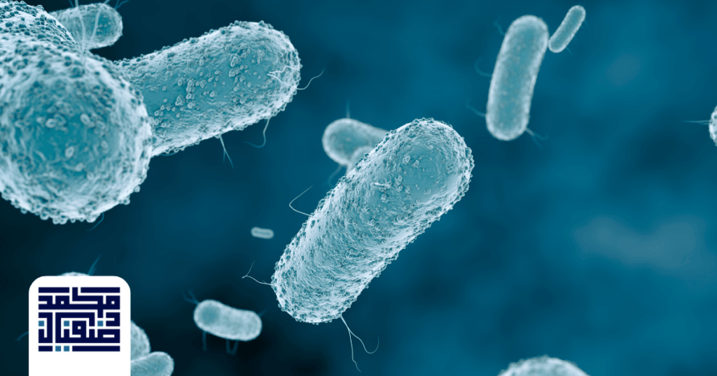 علاج جرثومة المعدة