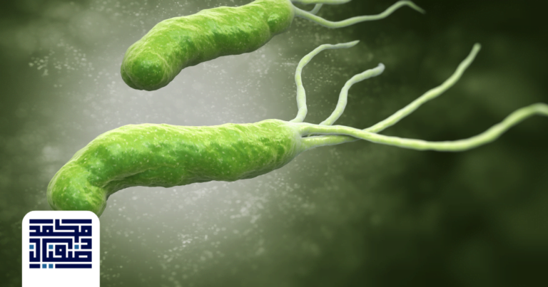 جرثومة المعدة