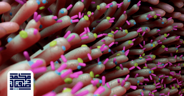 أسباب عدم الشفاء من جرثومة المعدة: دليل شامل