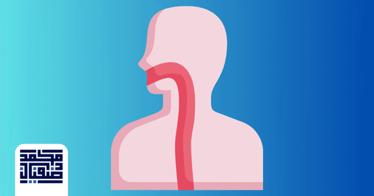 ما هو المرئ